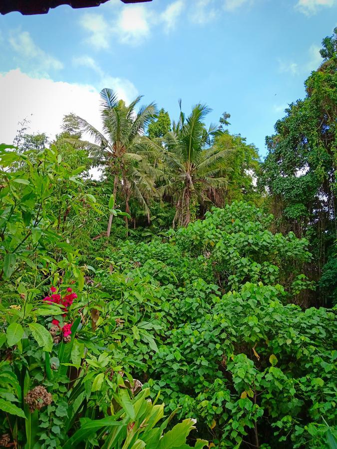 Karma House Apartment Ubud  Ngoại thất bức ảnh